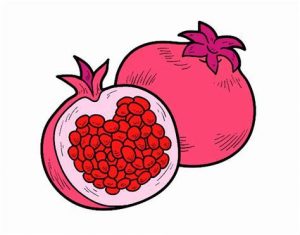 Dibuja Una Granada De Fruta Fácil Paso a Paso