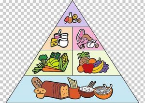 Cómo Dibujar Una Piramide Alimenticia Fácil Paso a Paso
