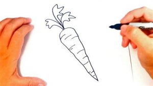 Cómo Dibuja Una Zanahoria Fácil Paso a Paso